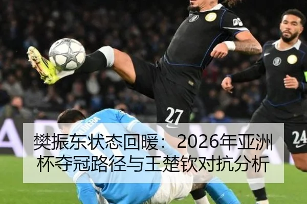 樊振东状态回暖：2026年亚洲杯夺冠路径与王楚钦对抗分析