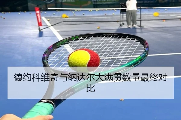 德约科维奇与纳达尔大满贯数量最终对比