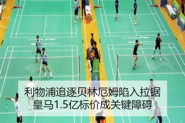 li-wu-pu-zhui-zhu-bei-lin-e-mu-xian-ru-la-ju-huang-ma-yi-biao-jia-cheng-guan-jian-zhang-ai-2-998.jpg