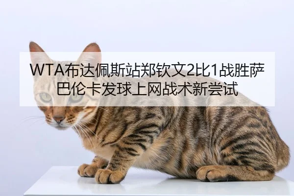 WTA布达佩斯站郑钦文2比1战胜萨巴伦卡发球上网战术新尝试