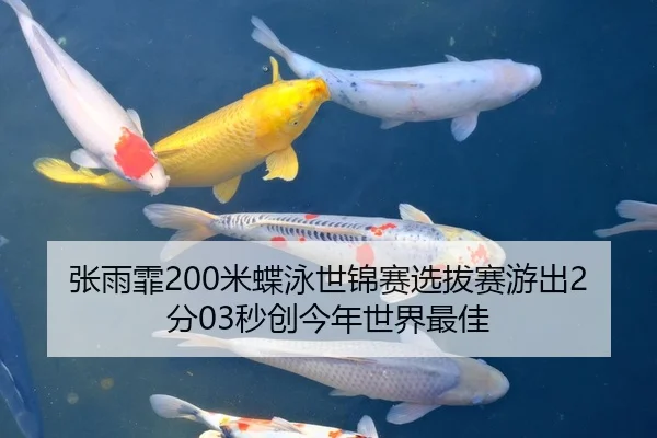 张雨霏200米蝶泳世锦赛选拔赛游出2分03秒创今年世界最佳