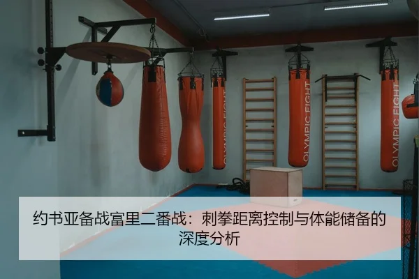 yue-shu-ya-bei-zhan-fu-li-er-fan-zhan-ci-quan-ju-li-kong-zhi-yu-ti-neng-chu-bei-de-shen-du-fen-xi-3-315.jpg